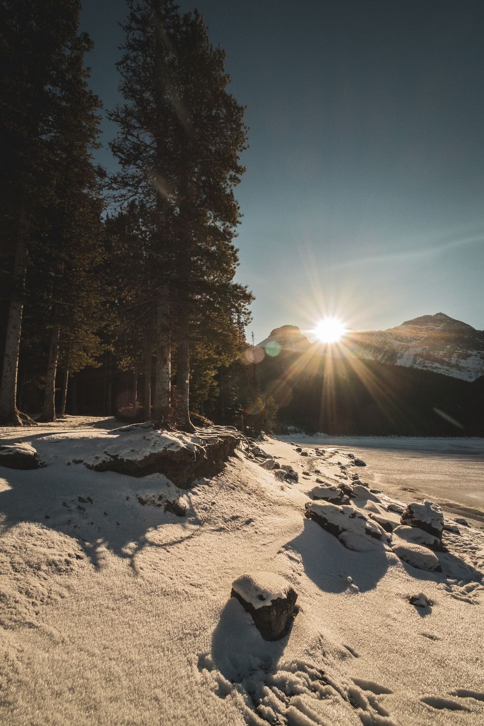 The property in winter, under snow